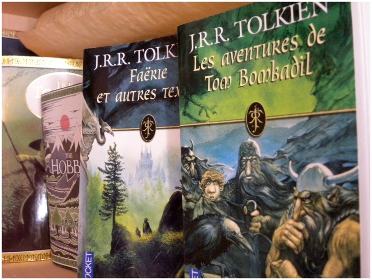 Les couvertures de John Howe rendent n'importe quelle édition poche aussi sexy qu'un grand format. Même si l'illustration des Aventures de Tom Bombadil est issue du Hobbit.